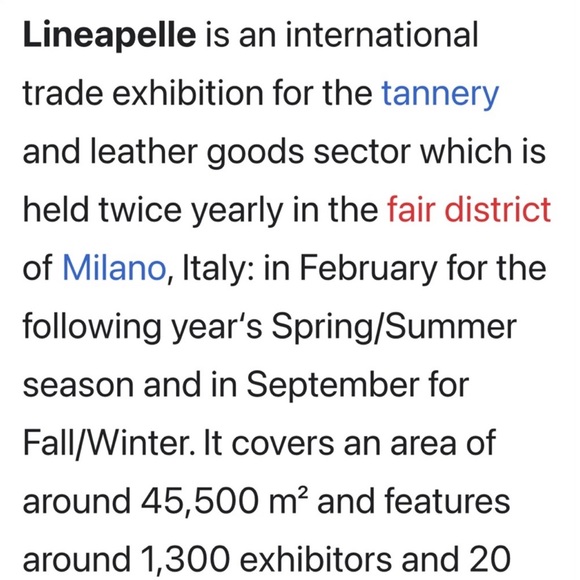 LINEA PELLE IMPORTED LEATHER BELT - Picture 2 of 16